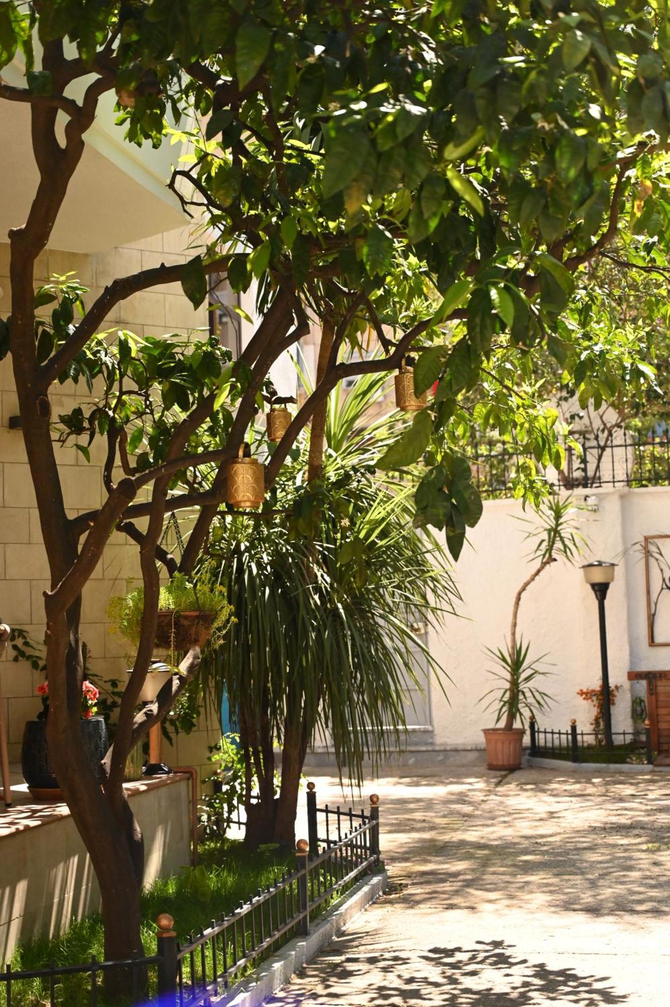 טיראנה Niche Boutique Hotel מראה חיצוני תמונה